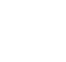 logo bibcnrs
